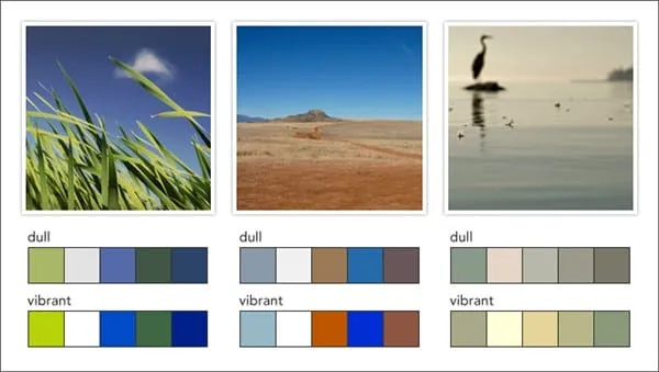 Color Palette Generator Color Palette Generator